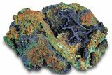 Sparkling Azurite Crystals on Fibrous Malachite - China #259641-1